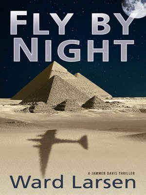 cover image of Fly by Night